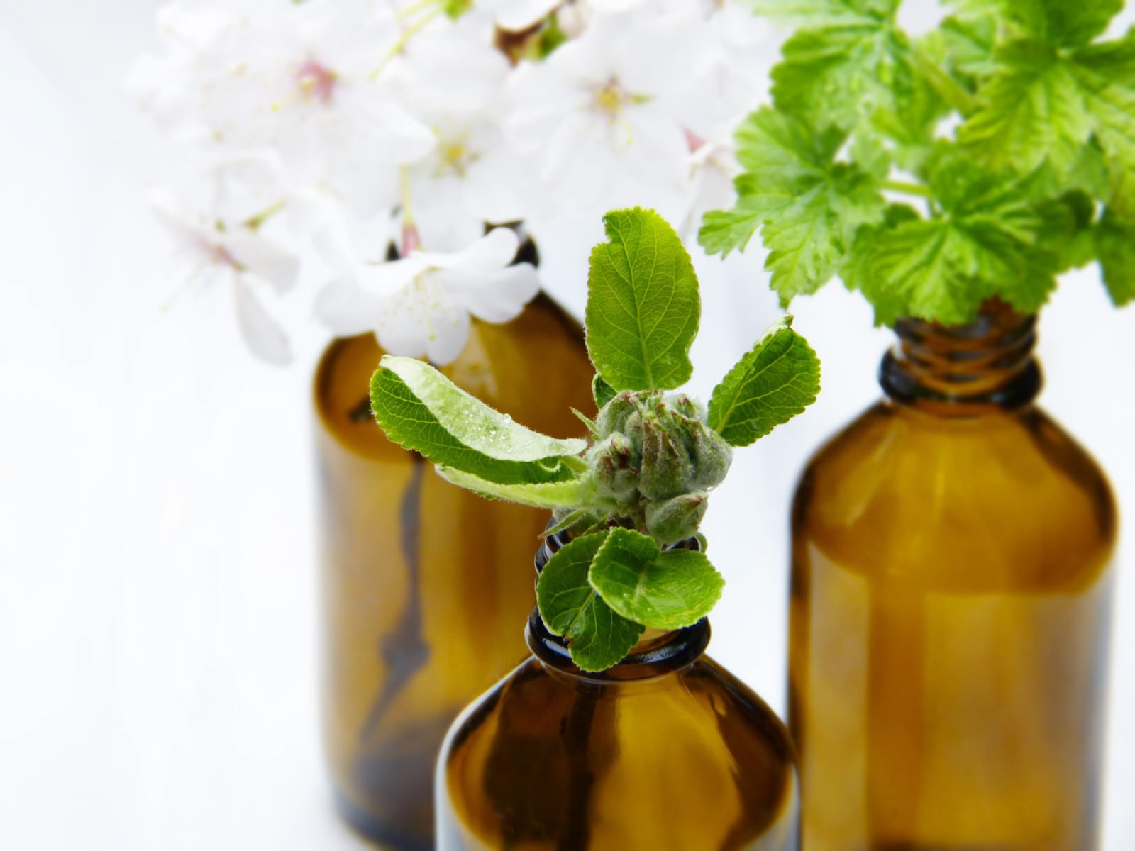 Naturopatia